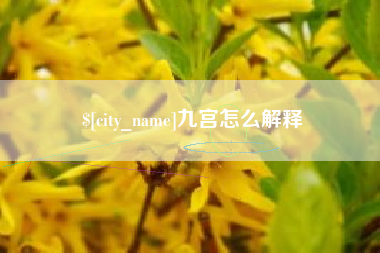 潮州九宫怎么解释