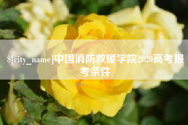 潮州中国消防救援学院2020高考报考条件