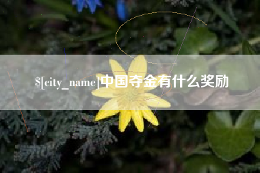 潮州中国夺金有什么奖励