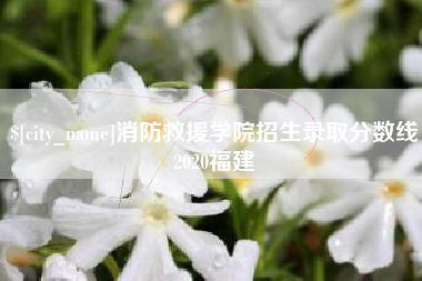 潮州消防救援学院招生录取分数线2020福建