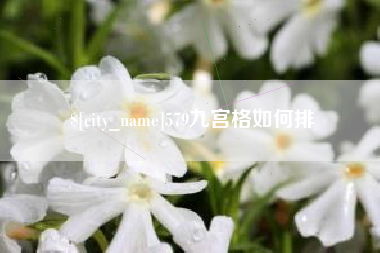 潮州579九宫格如何排