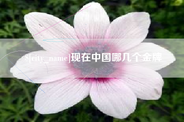潮州现在中国哪几个金牌