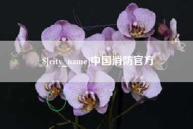 潮州中国消防官方