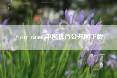 潮州中国执行公开网下载