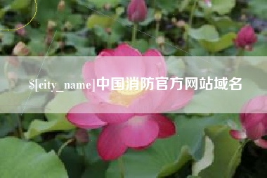 潮州中国消防官方网站域名