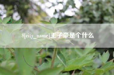 潮州王子豪是个什么