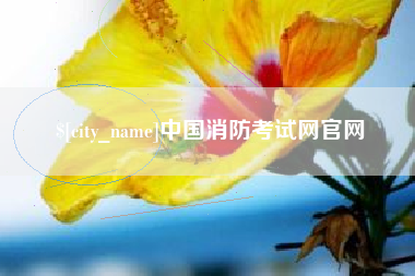 潮州中国消防考试网官网