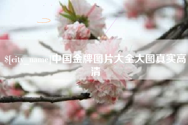 潮州中国金牌图片大全大图真实高清