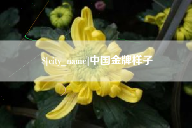 潮州中国金牌样子