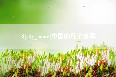 潮州中国的几个金牌