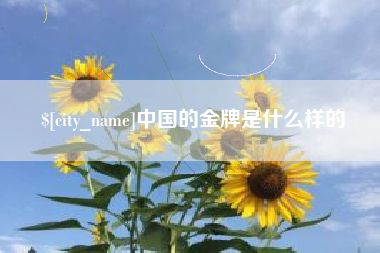 潮州中国的金牌是什么样的