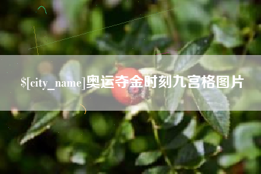 潮州奥运夺金时刻九宫格图片