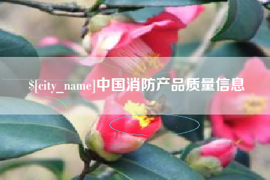 潮州中国消防产品质量信息