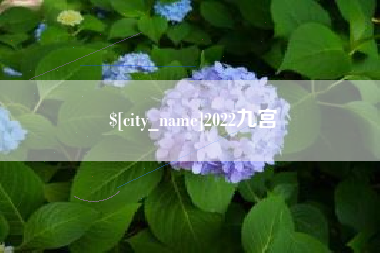 潮州2022九宫