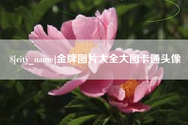 潮州金牌图片大全大图卡通头像