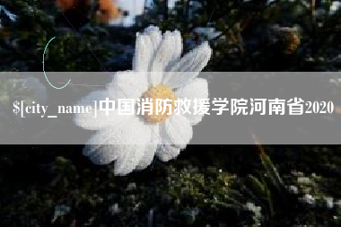 潮州中国消防救援学院河南省2020